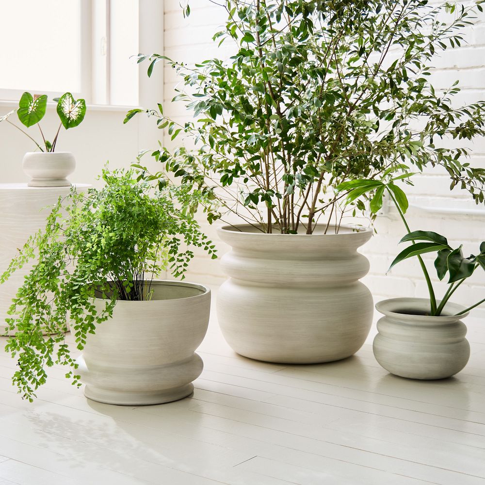 Alana Ceramic Indoor/Outdoor Planters by West Elm