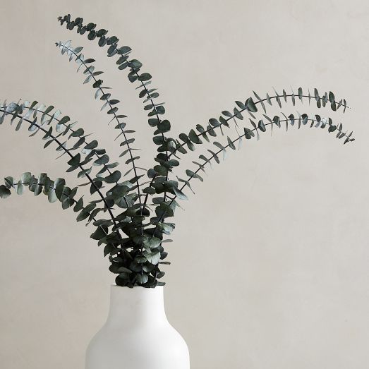 Dried Eucalyptus Bundle - Green