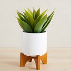 Faux Potted Agave Plant