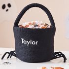 Ed Emberley Felt Spider Treat Bucket