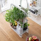 A Collection Shelf Unit