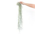 Live Tillandsia Usneoides Spanish Moss Air Plant Clumps (Set of 3)