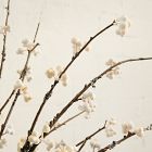 Faux White Mossy Berry Branch