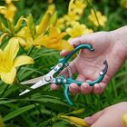 Modern Sprout Gardening Shears &amp; Pruners (Set of 2)