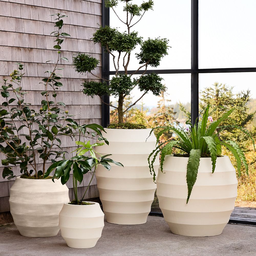 Eli Ficonstone Indoor/Outdoor Planters by West Elm