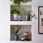 Bishop Ceramic Indoor/Outdoor Pedestal Planters