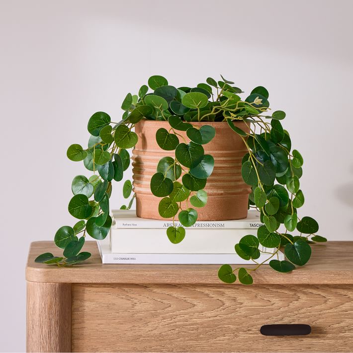 Faux Potted Trailing Leaf Plant, 25'', West Elm