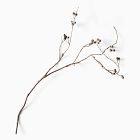 Faux Blackberry Branch