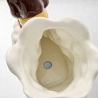 St. Jude Figural Skier and Snowboarder Tabletop Planters