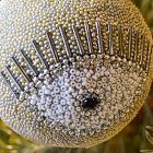 Beaded Ball Evil Eye Ornament