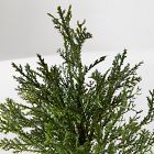 Faux Potted Subtle Glitter Pine Tabletop Tree