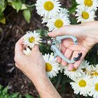 Modern Sprout Gardening Shears &amp; Pruners (Set of 2)