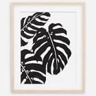 Living Pattern Framed Print - Monstera Deliciosa Trio