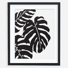 Living Pattern Framed Print - Monstera Deliciosa Trio