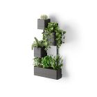 Cubiko Wall Planter