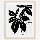 Living Pattern Framed Print - Xanthosoma Wendla