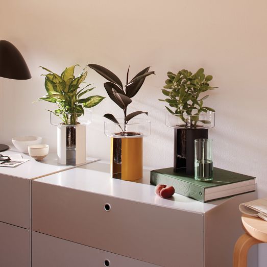 Terrazza Glass Planter by West Elm