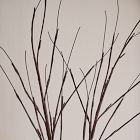 Brown Wrapped Light-Up Branches (Set of 2)