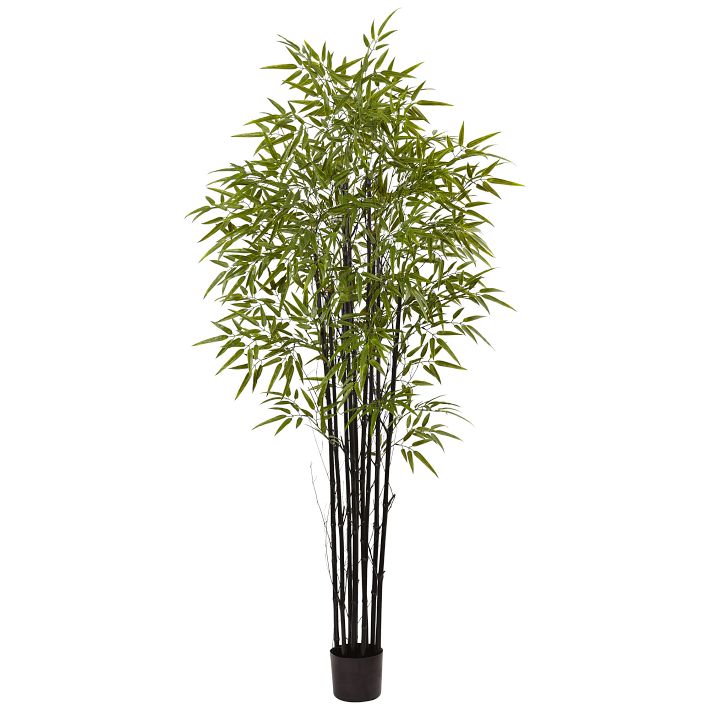 Faux Potted Bamboo Palm Tree, Narrow, 4', Green, West Elm