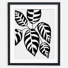Living Pattern Framed Print - Calathea Leopardina