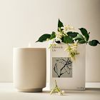 West Elm Homescent Single Wick Candle - Jasmine &amp; Lily