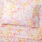 Painted Daisy Sheet Set
