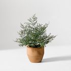 Faux Potted Pine Tabletop Tree
