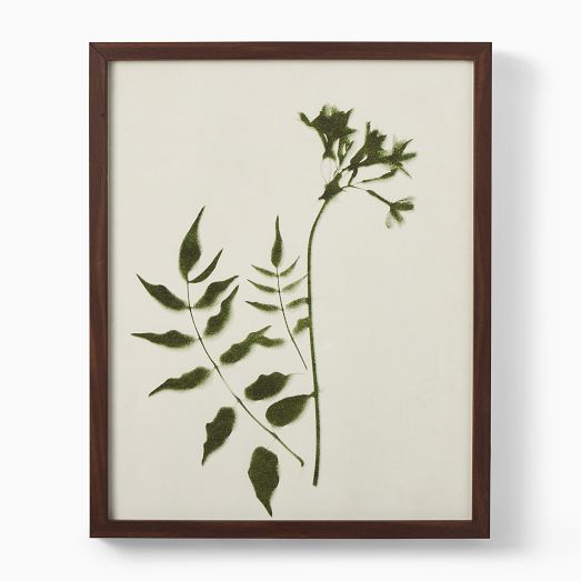 Foraged Wall Art by Minted for West Elm by West Elm