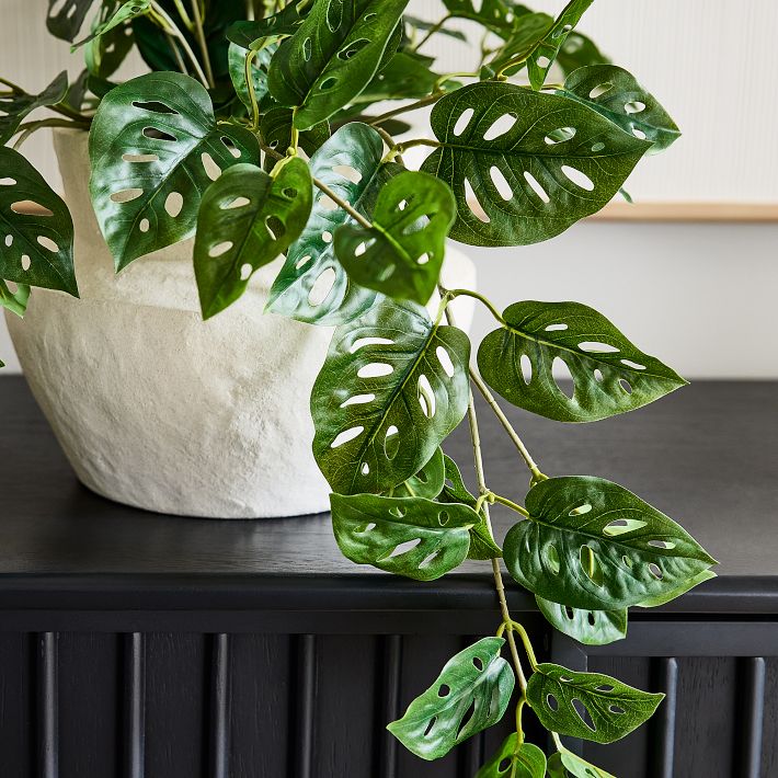 Faux Potted Trailing Monstera Plant | West Elm