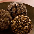 Dried Botanical Bowl Fill (Set of 3)