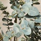 Faux Potted Eucalyptus Tree