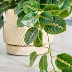 Faux Potted Herringbone Maranta Plant