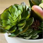Faux Potted Succulent Arrangement w/ Planter