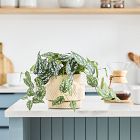 Faux Potted Green Leaf Plant
