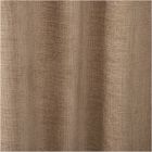 Worn Velvet Curtain