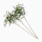 Faux Branchy Eucalyptus Branches (Set of 3)