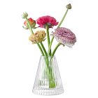 Beacon Glass Vases
