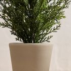 Faux Potted Subtle Glitter Pine Tabletop Tree
