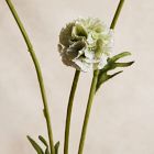 Faux Scabiosa Stem