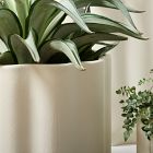 Wavy Ceramic Planters