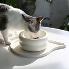 Catenary Halo Ivory Pet Bowl