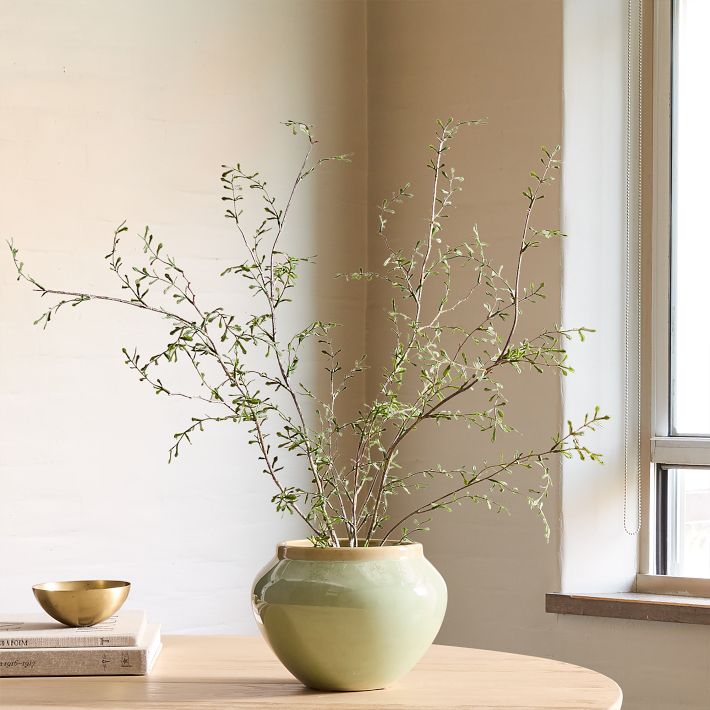 Faux Potted Sophora Prostrata Plant