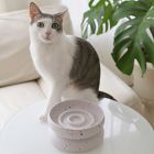 Catenary Halo Tempo Pet Bowl