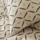 Desi Ikat Comforter &amp; Shams