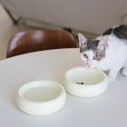 Catenary Halo Ivory Pet Bowl