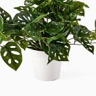 Faux Potted Trailing Monstera Plant