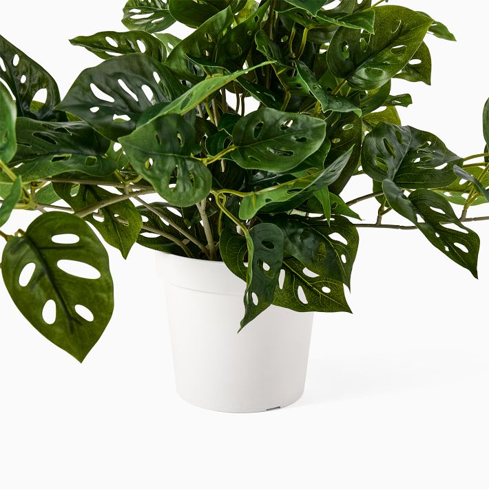Faux Potted Trailing Monstera Plant | West Elm