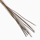 Dried Craspedia Stems (Set of 10)