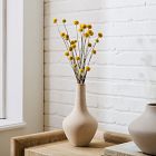 Dried Craspedia Stems (Set of 10)