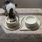 Catenary Drop Pet Food Mat